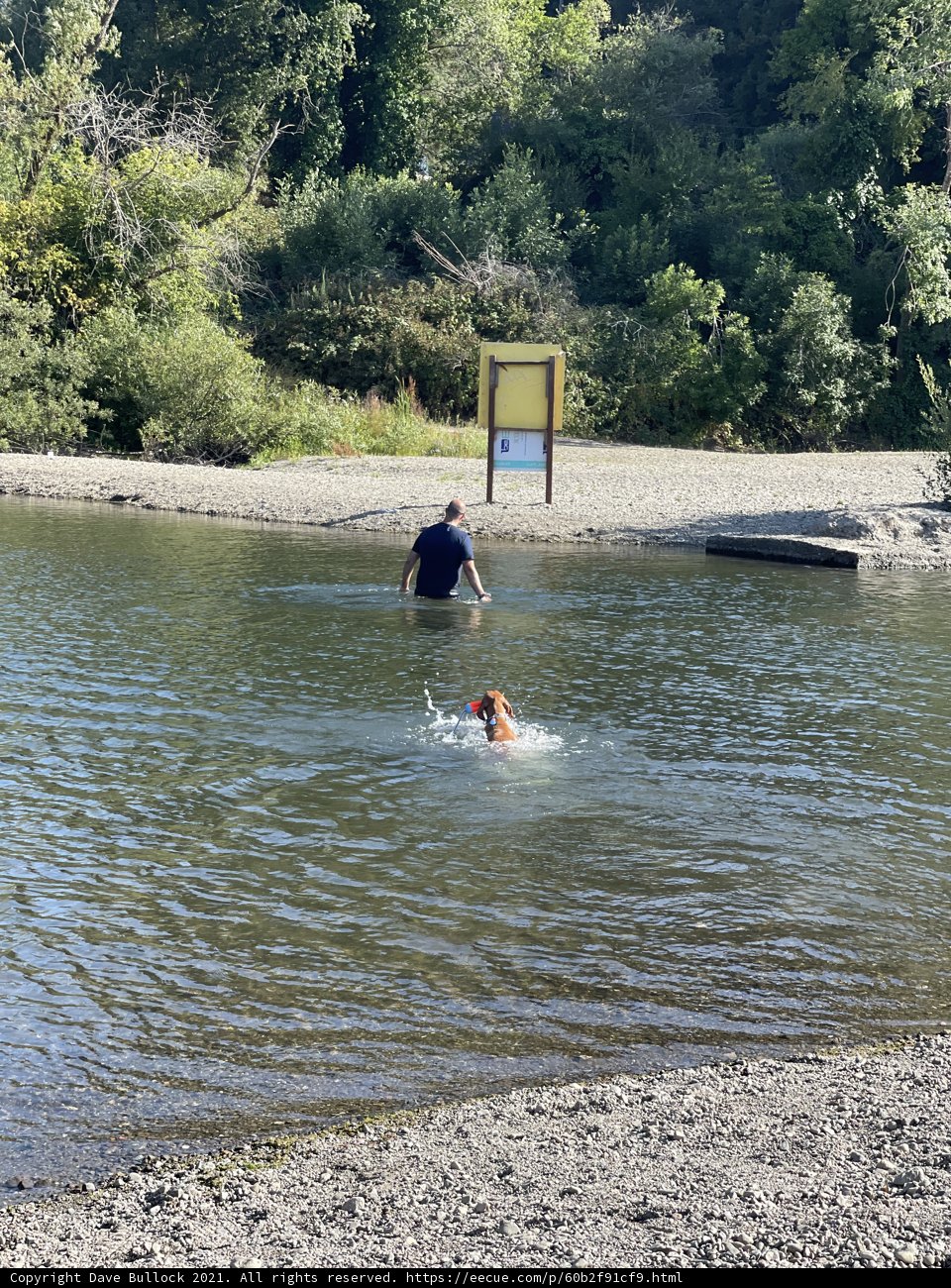 Summer Fun by the Water