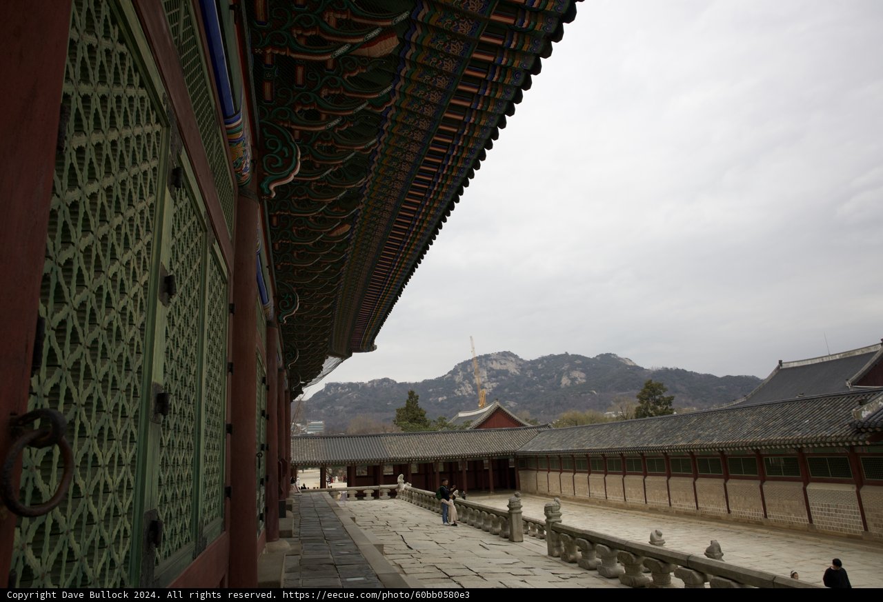 Tranquil Moments: Korean Courtyard Beauty