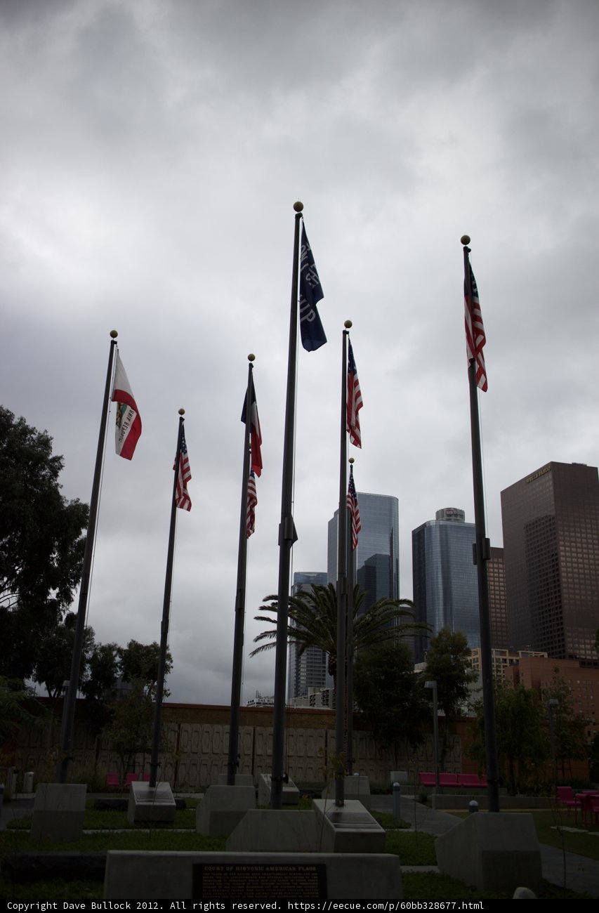 The Flags of America in the City