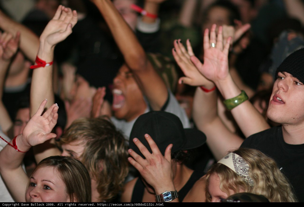 Electrifying Nightlife Concert