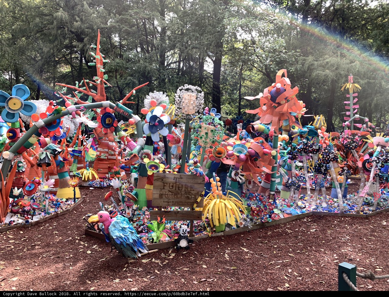 A Colorful Feast for the Senses