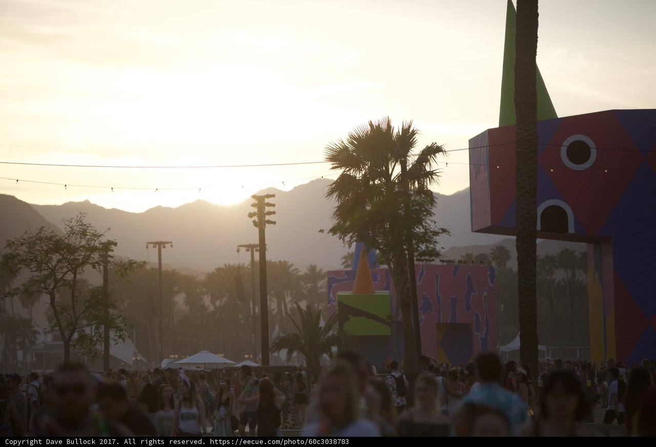 Festival Fun with Mountain View