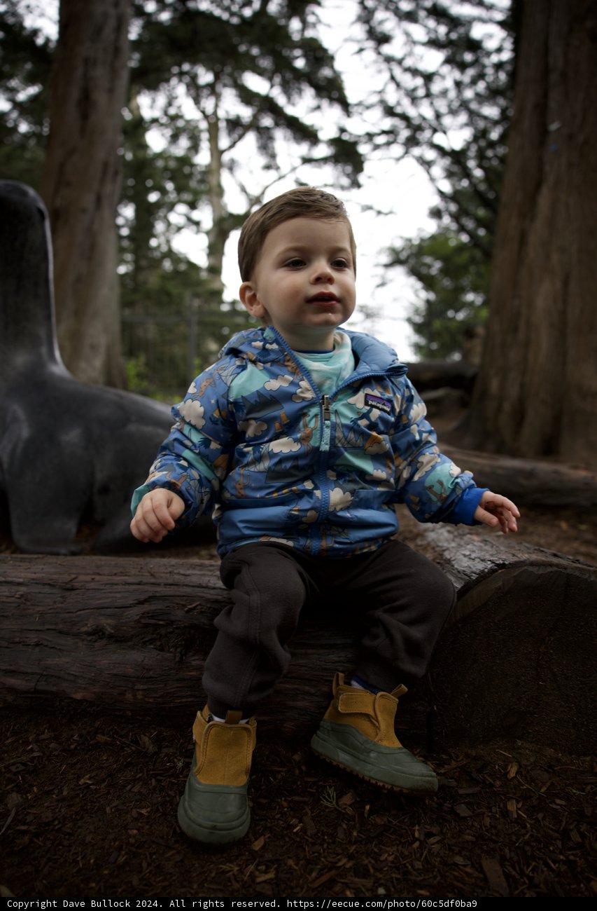 Nature's Cradle: A Moment of Innocence