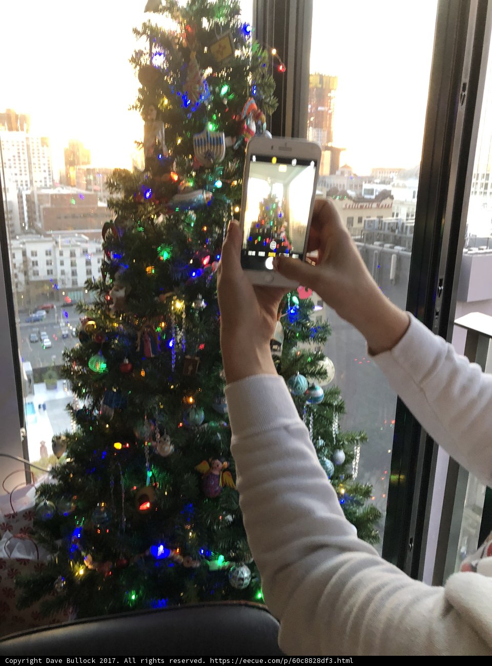 Festive Tree Snapshot