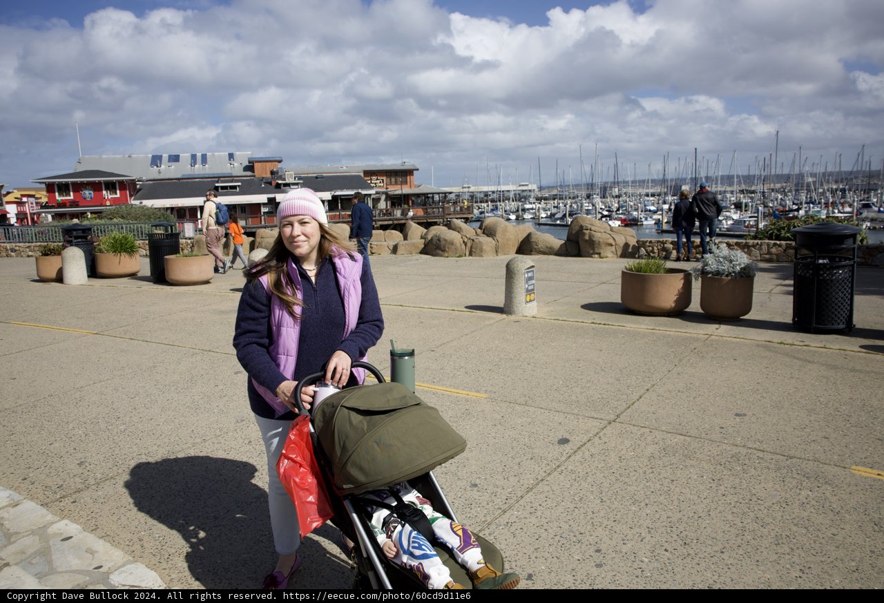 Motherhood on the Go: A Monterey Adventure