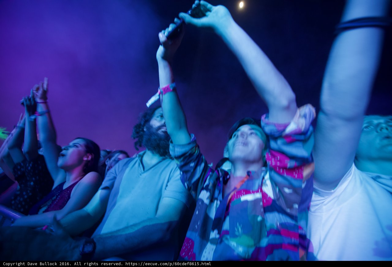 Party People with their Hands Up