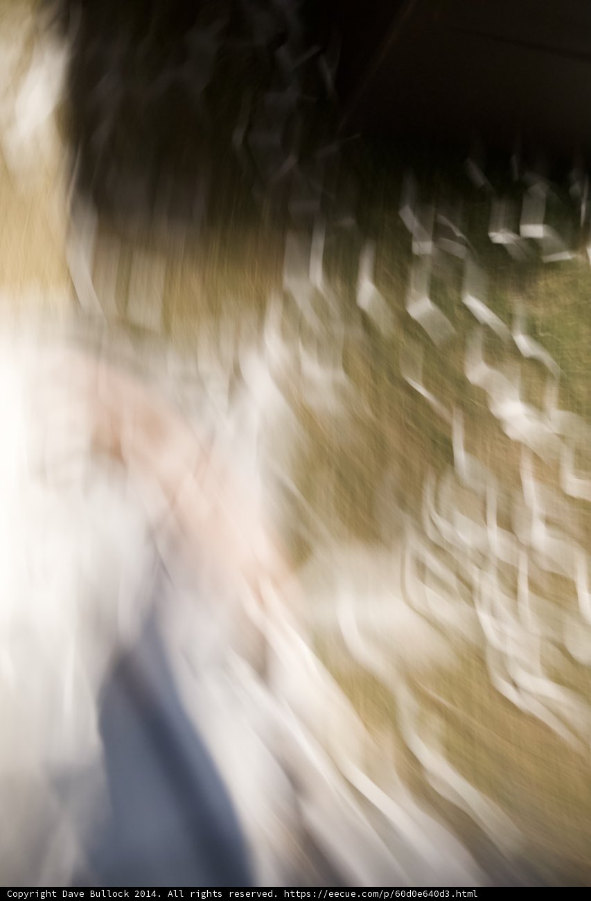 Blurred Memories of Coachella