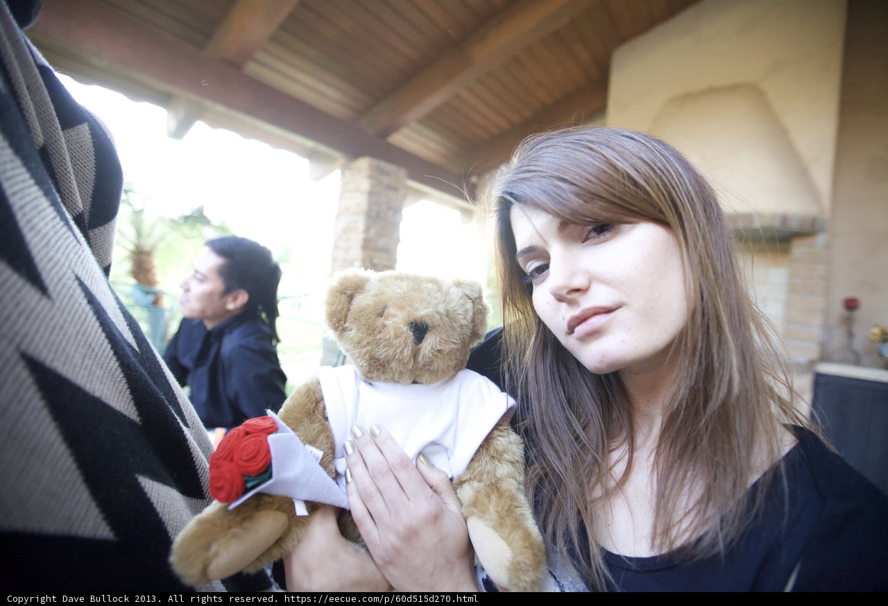 Teddy Bear Love at Coachella