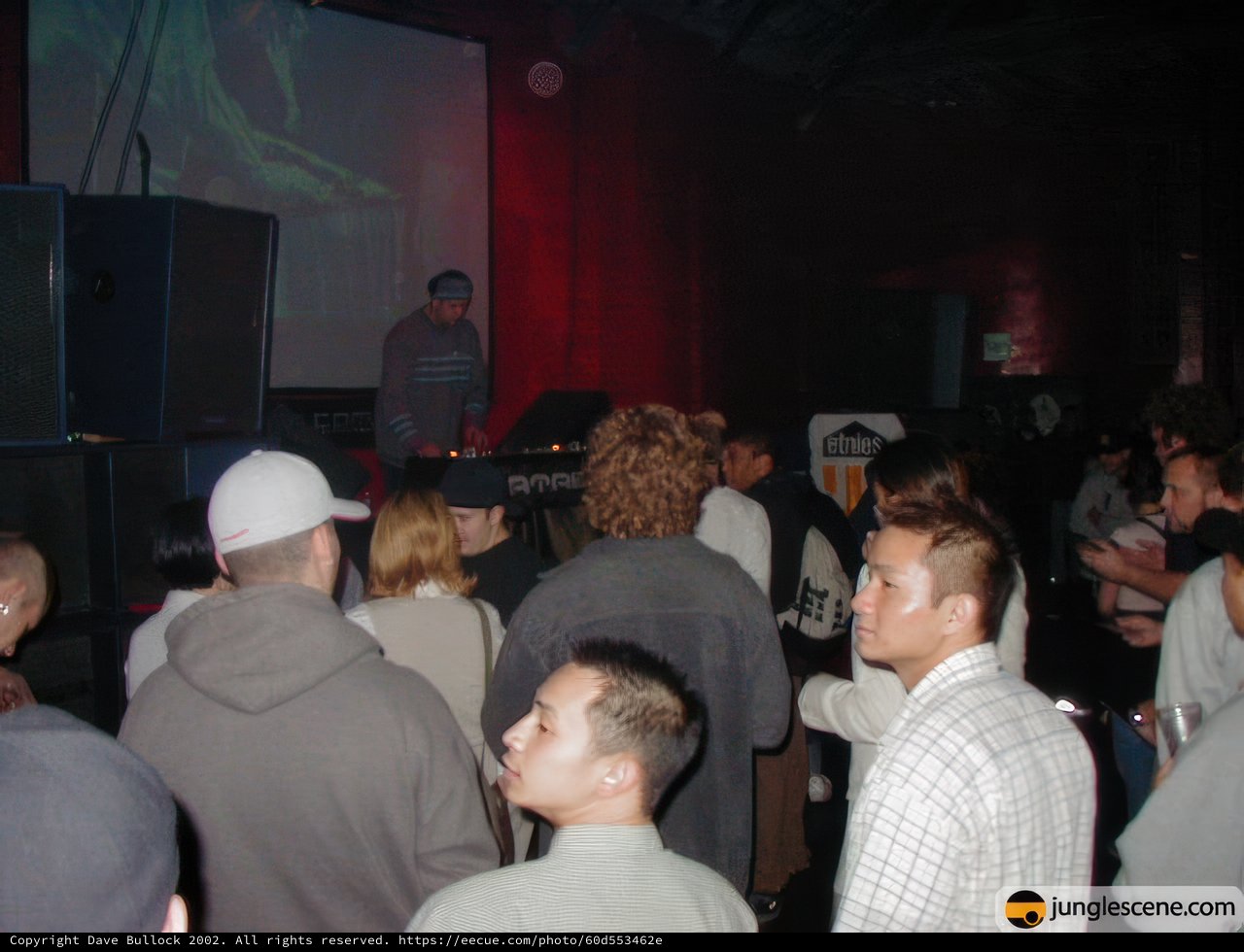 Nightclub Party