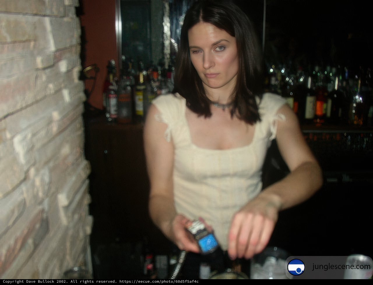 Bartender and Patron at the Pub
