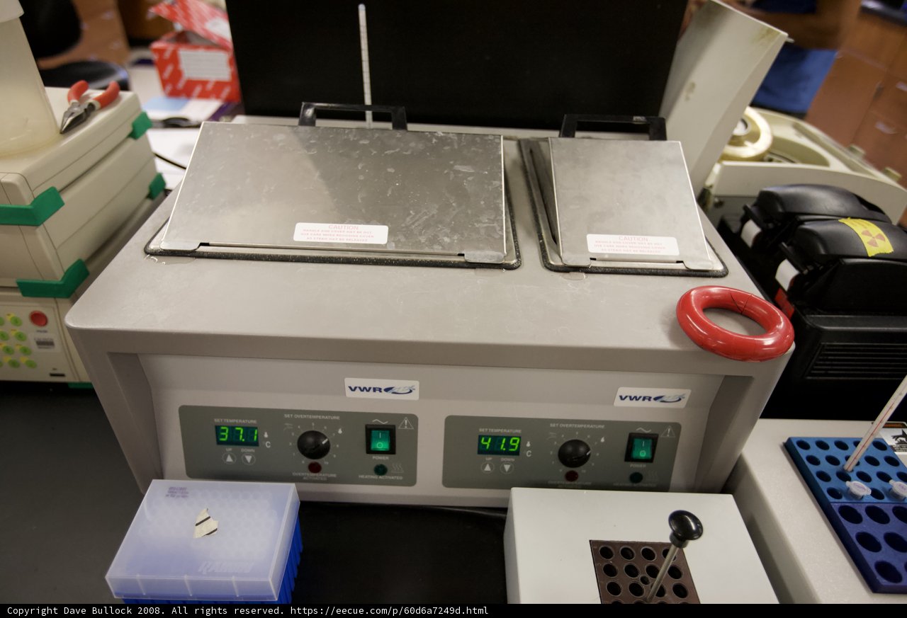Tech-Savvy Boy Works on Lab Experiment