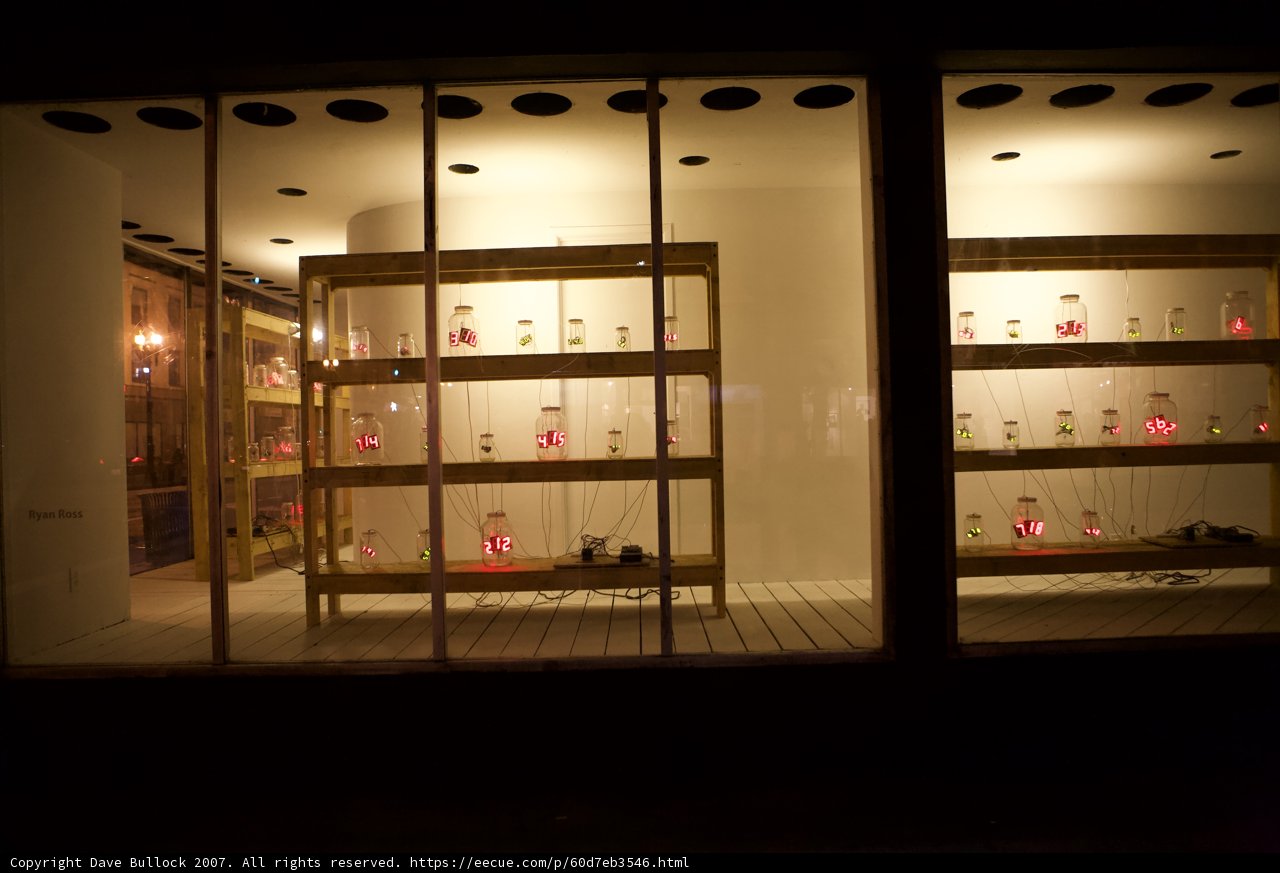Wine Collection in a Shop Window Display