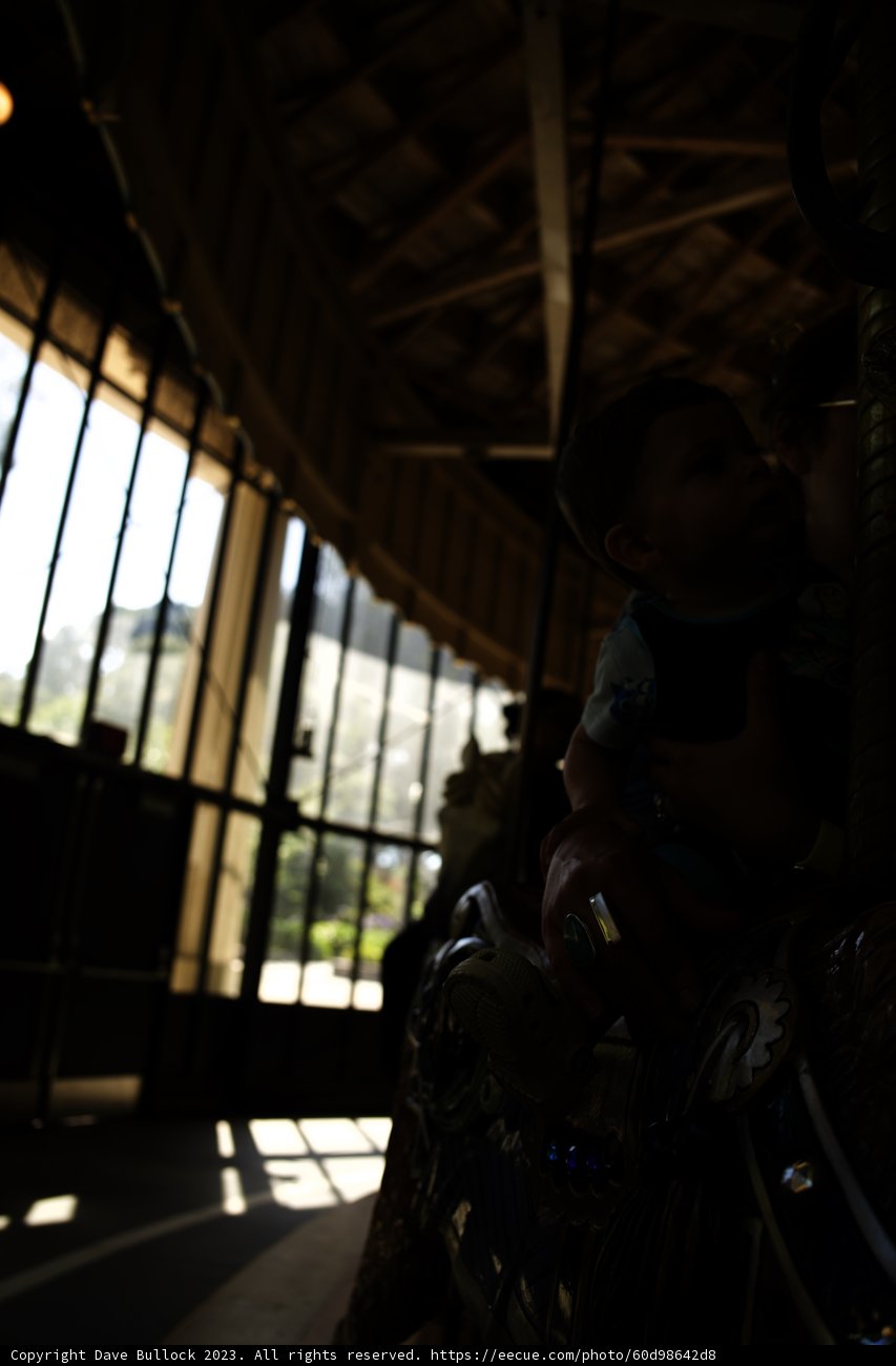 Joyous Moments at the Carousel