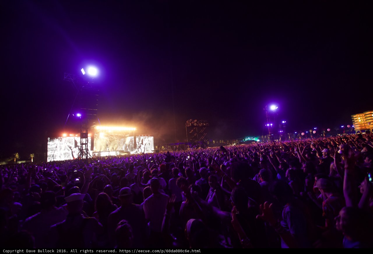Purple Haze at the Concert
