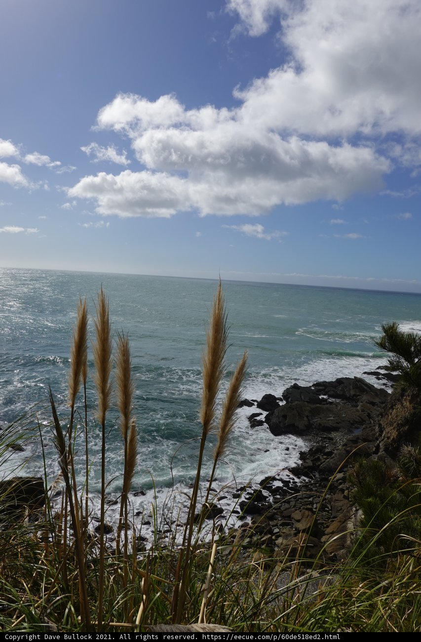 Serenity by the Seashore