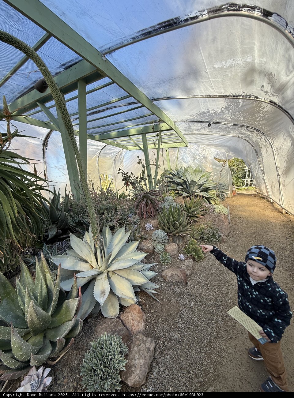 Exploring Nature's Architecture