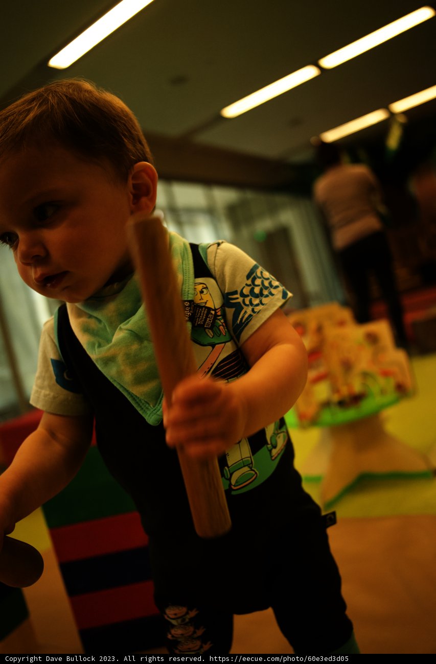 Summer Sports Spirit at the California Academy of Sciences