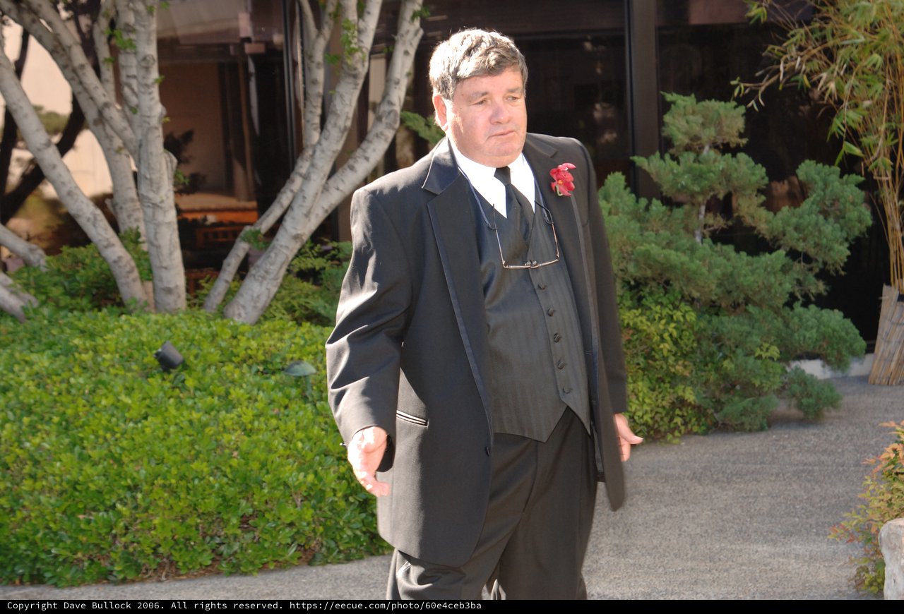 Dapper Gentleman in Three-Piece Suit at Wedding