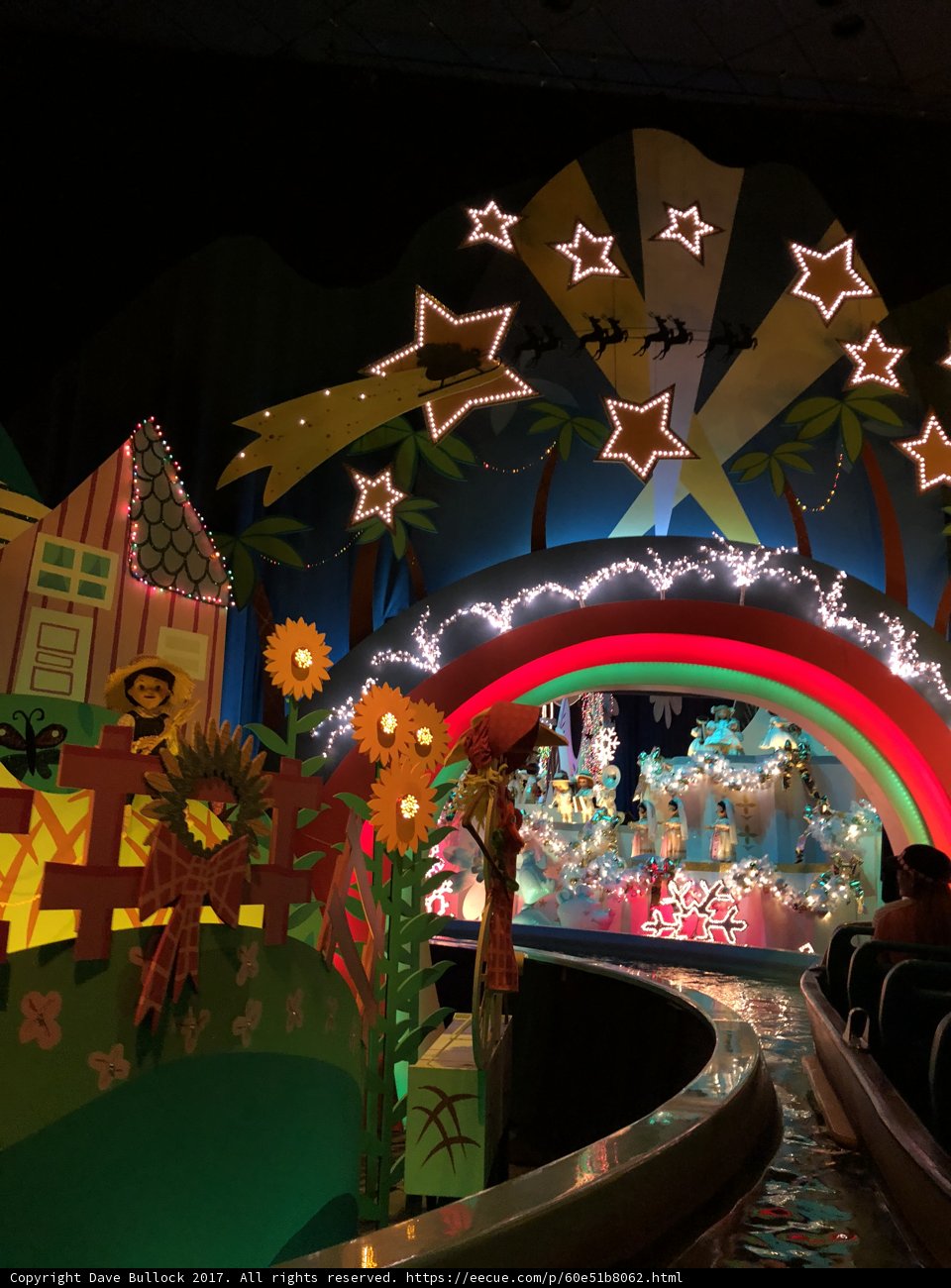 A Vibrant Wonderland