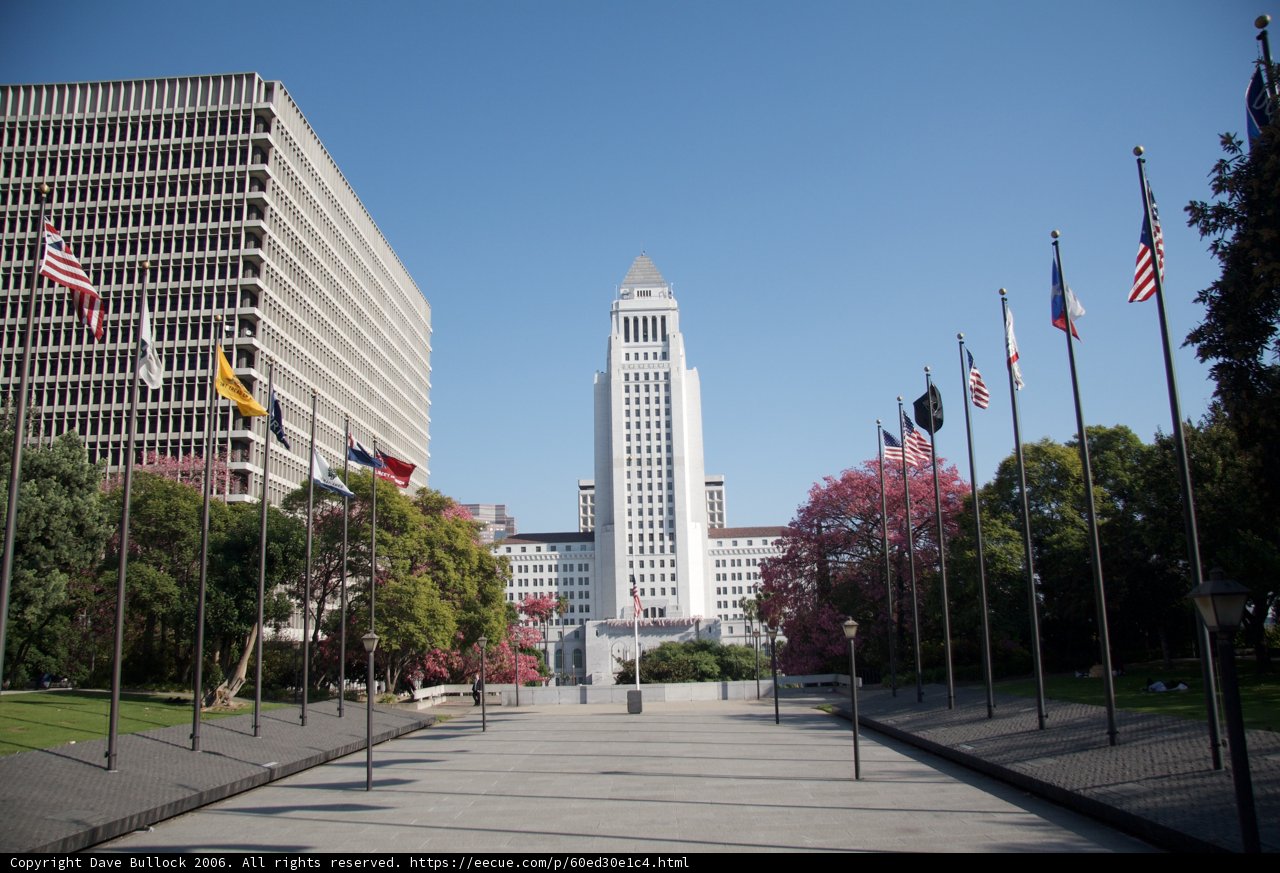 City Hall's Patriotic Surroundings
