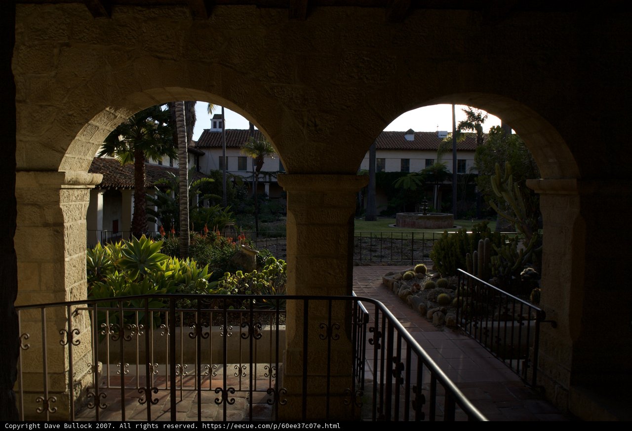 Courtyard Oasis