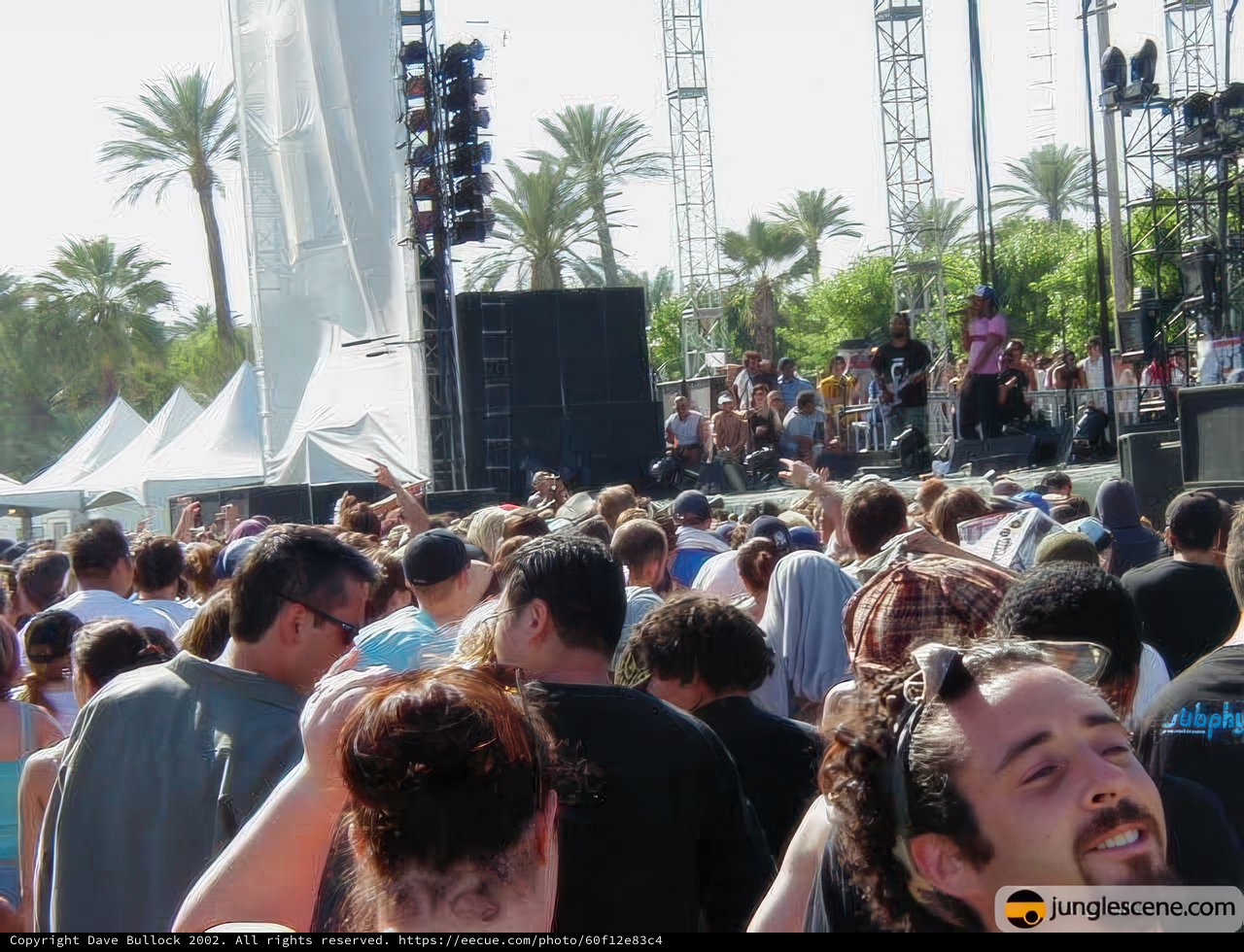 Coachella 2002 Music Festival Crowd