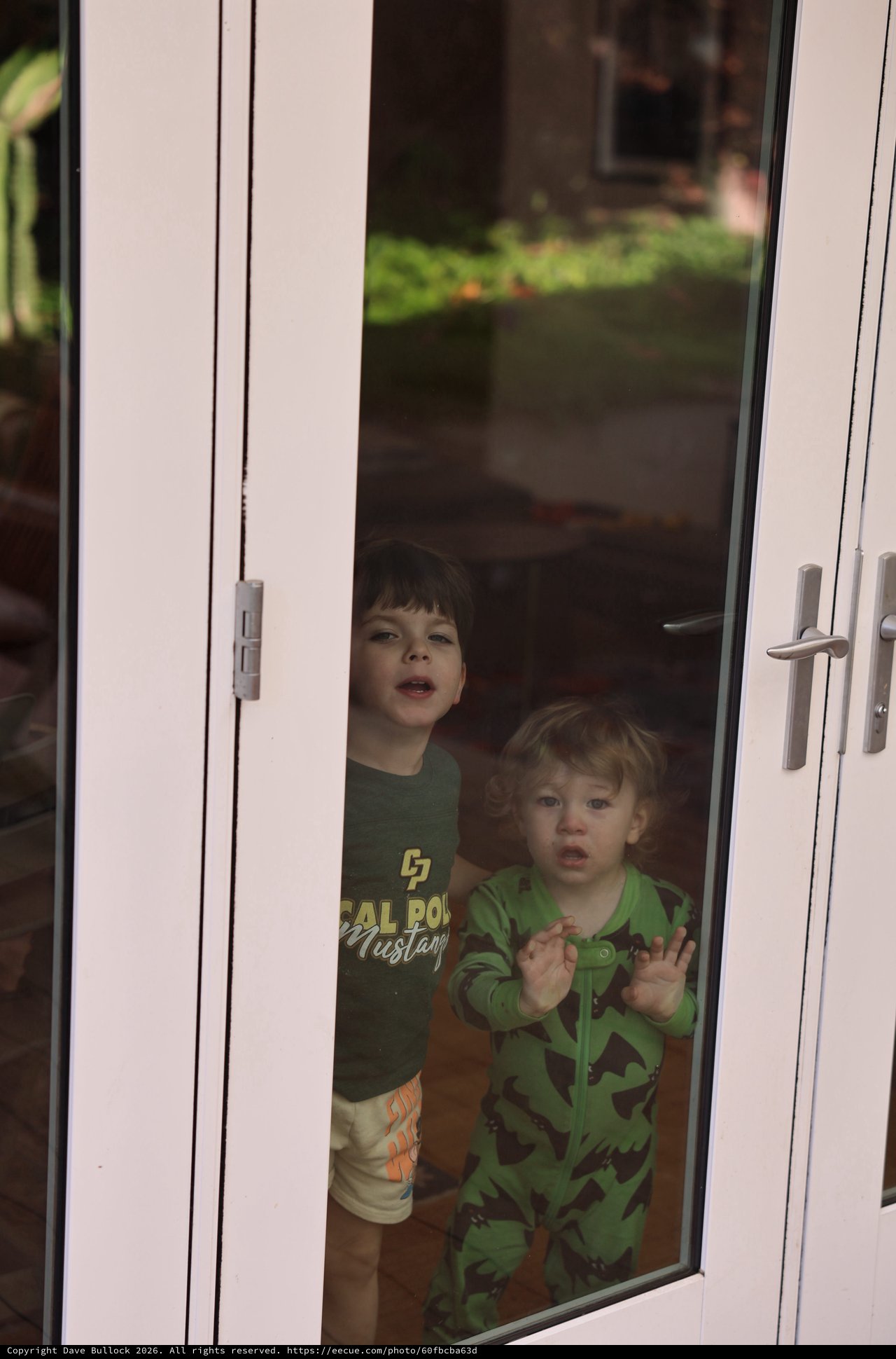 Two Children Peering Through Glass Door at Home