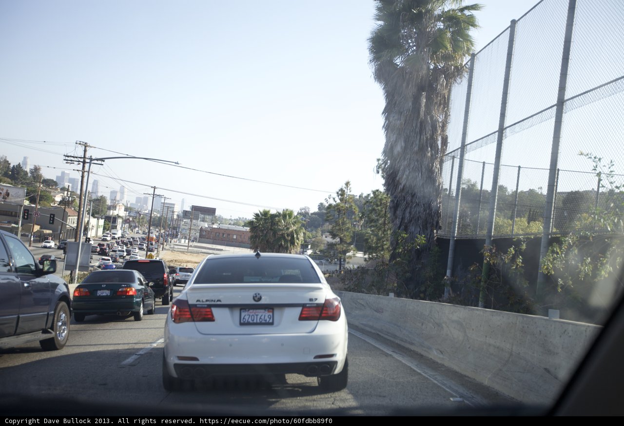 Busy Street with Palm Tree and Cars