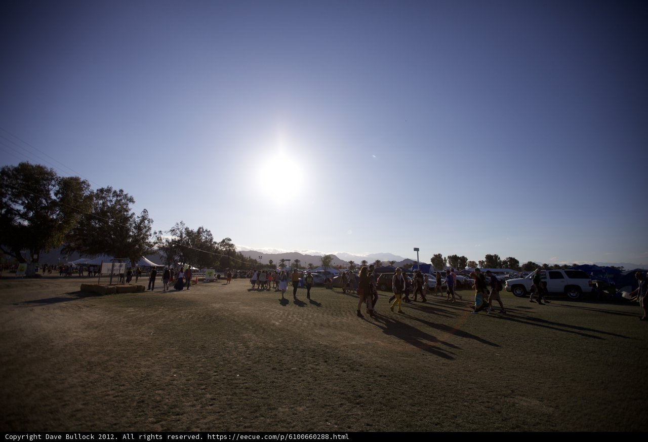 Sunny Day at Coachella