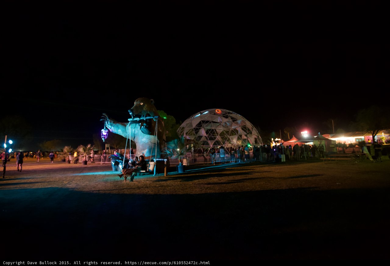 Teal Bear at Night