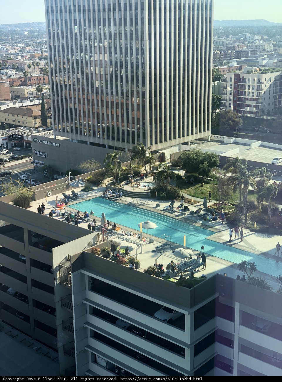 City Oasis