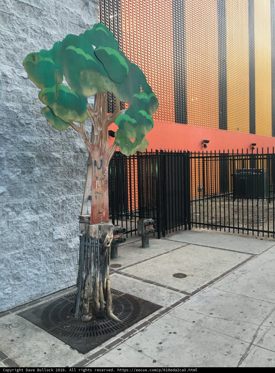 Green Leafed Tree on a Sidewalk in LA
