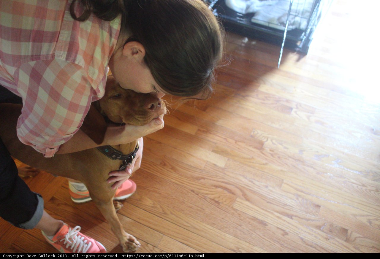 Woman and her Furry Friend on Hardwood Floors