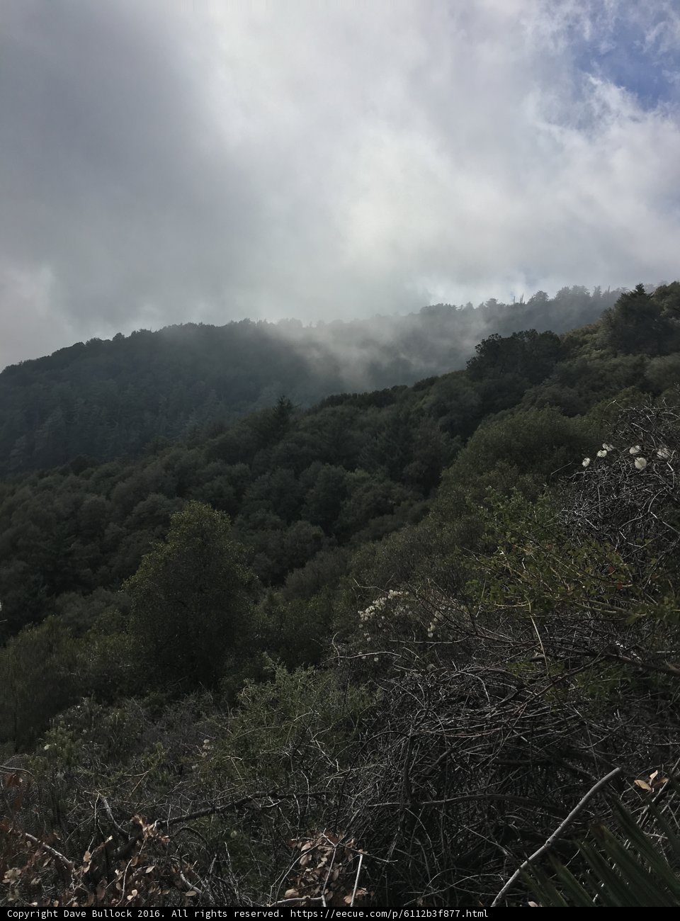 Majestic Mountain Range