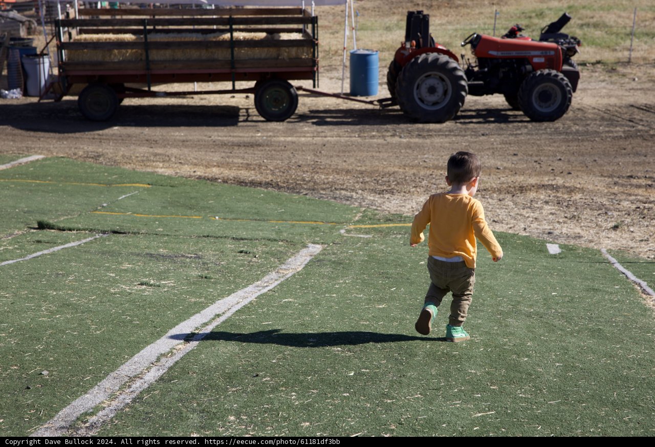 Adventure Awaits in Walnut Creek