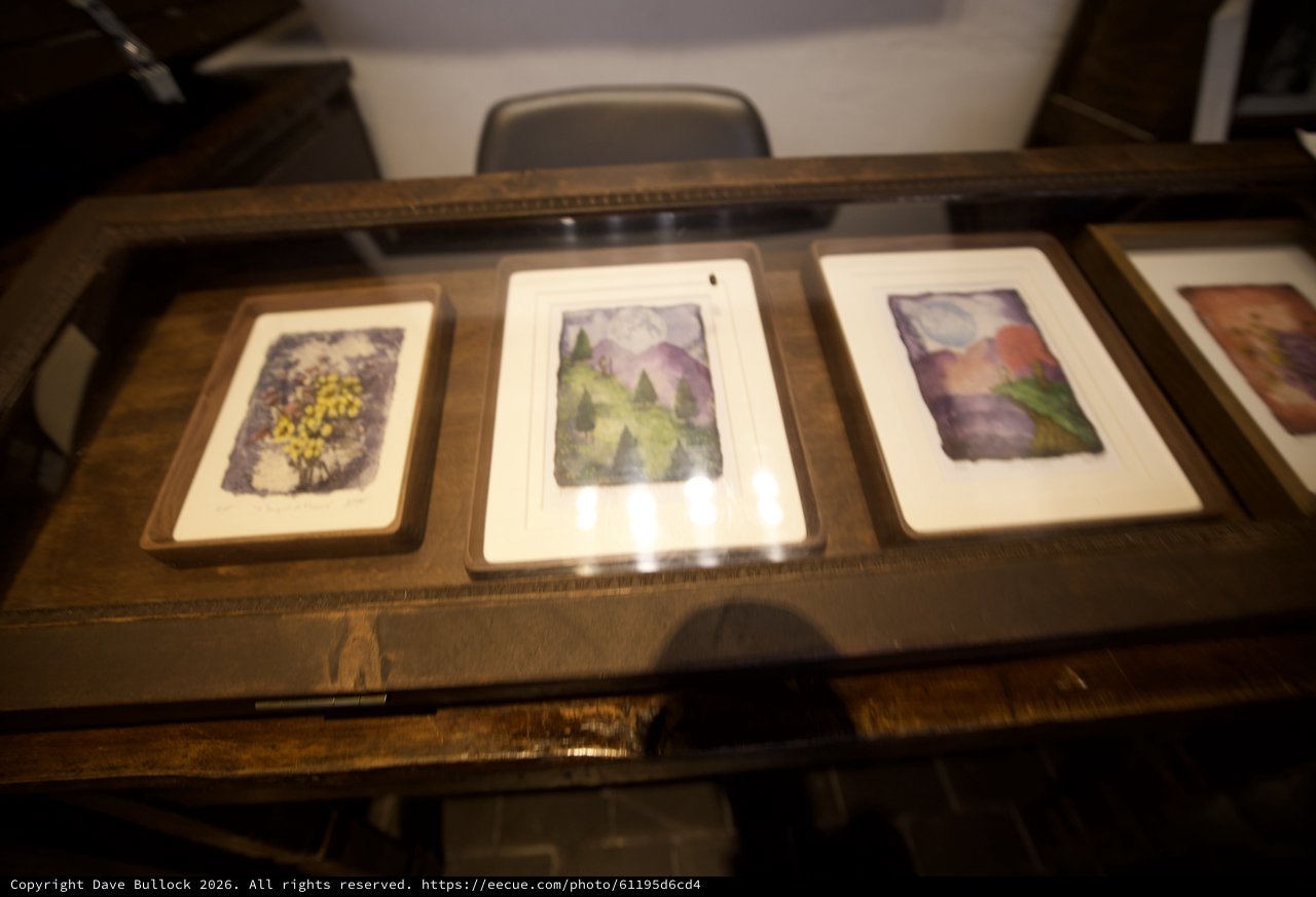 Framed Watercolor Landscape Collection in Display Case