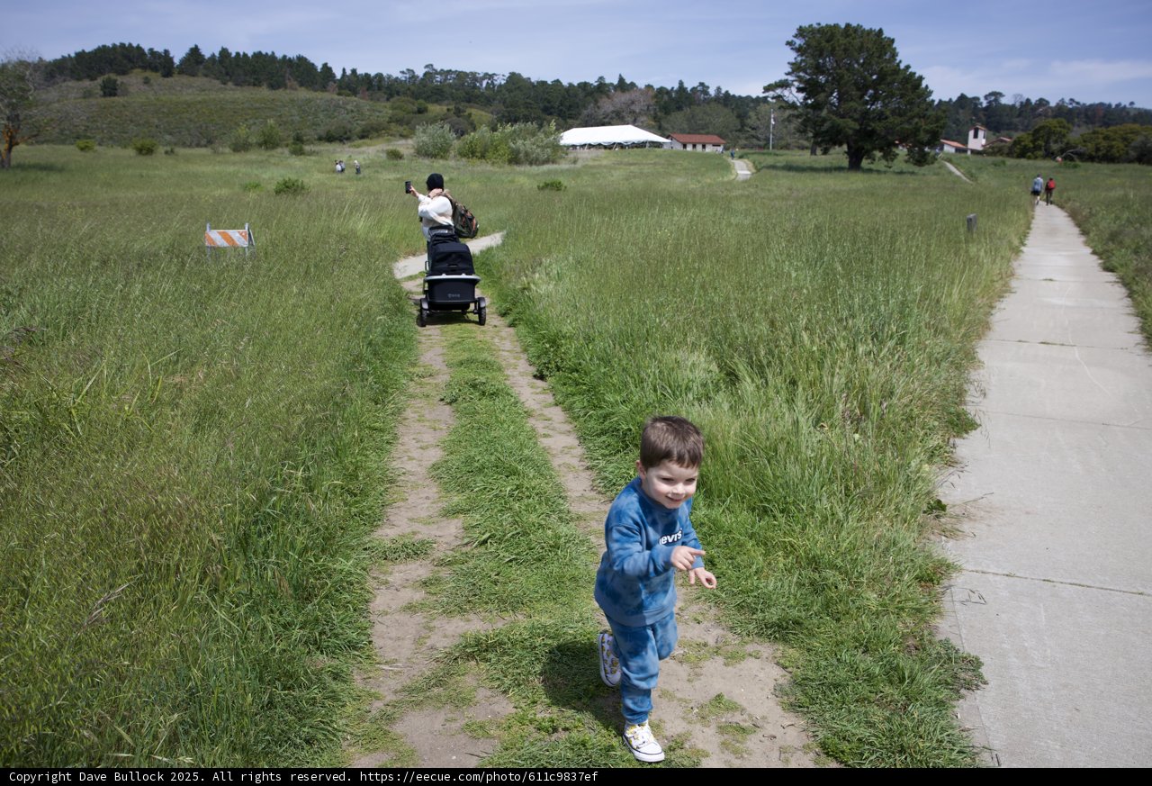 Exploring the Path of Adventure