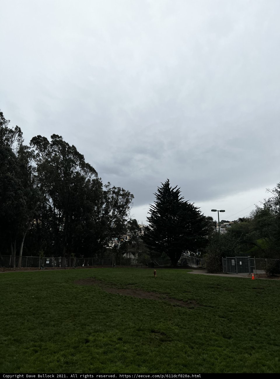 A Serene Day at the Park