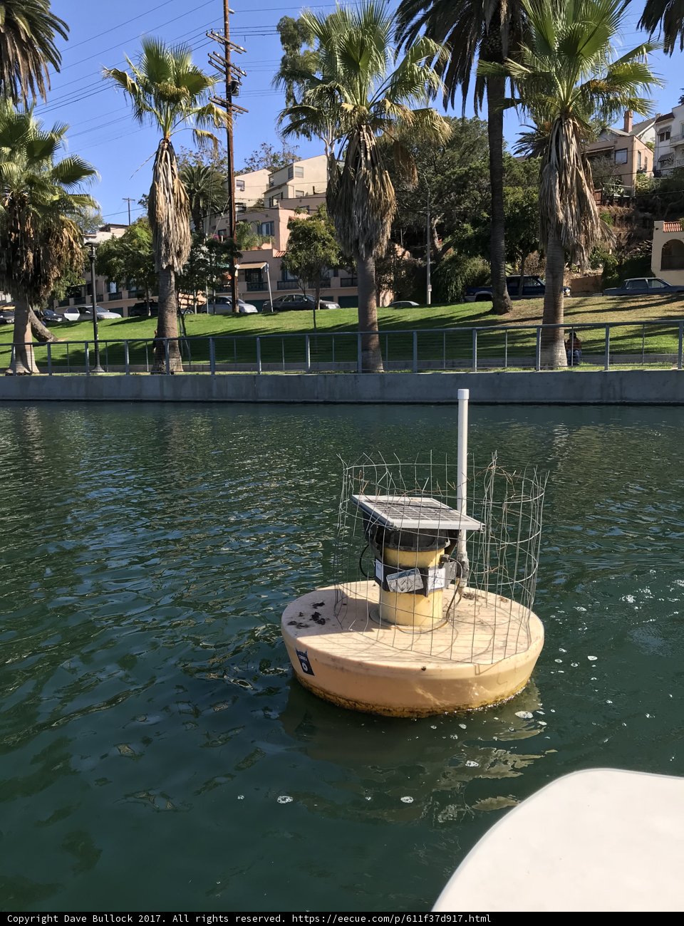 Tranquil Boat Ride