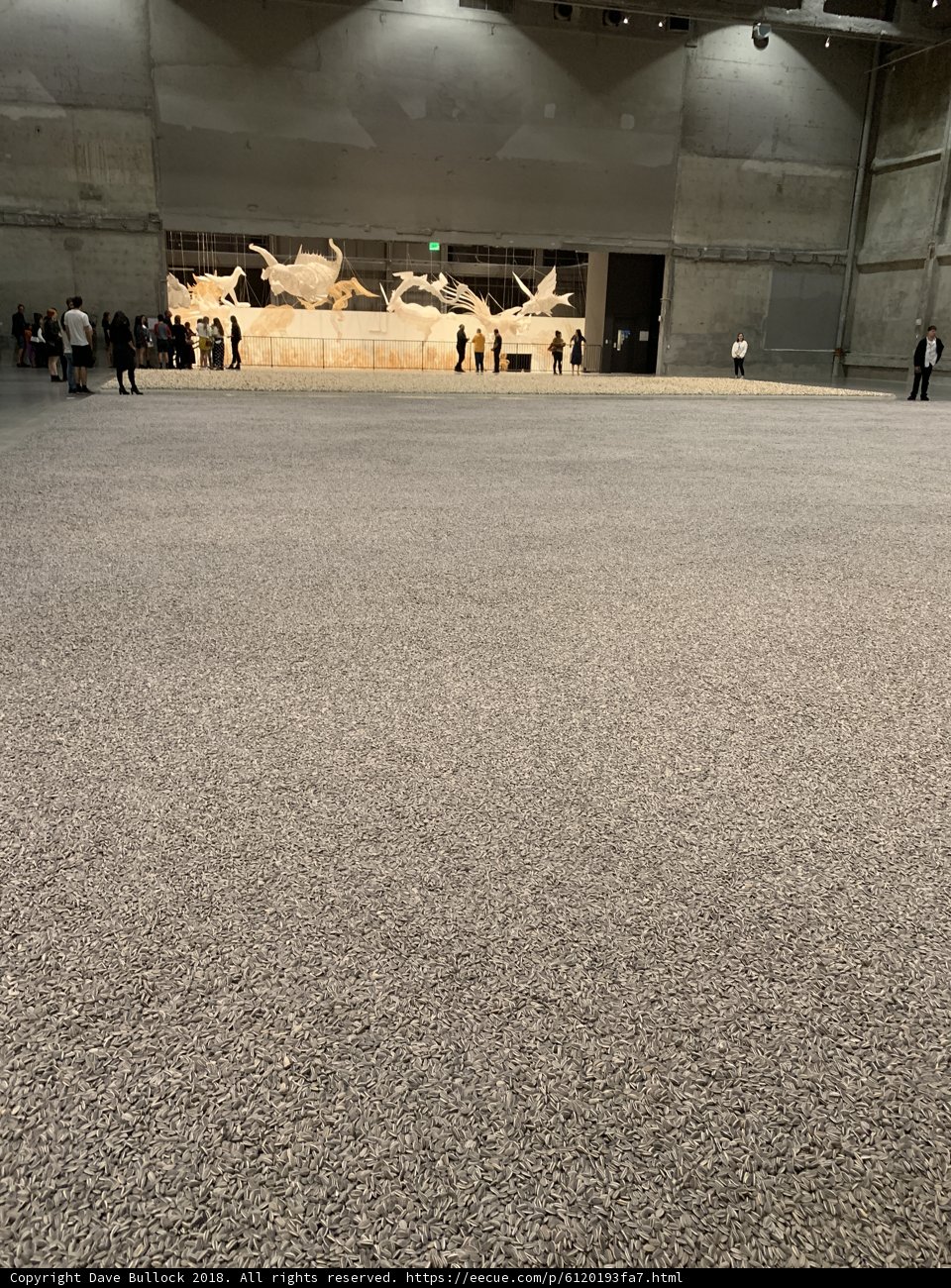 Grandeur in the Hangar