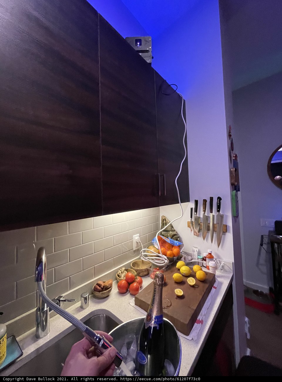 Bright Kitchen with Fresh Citrus
