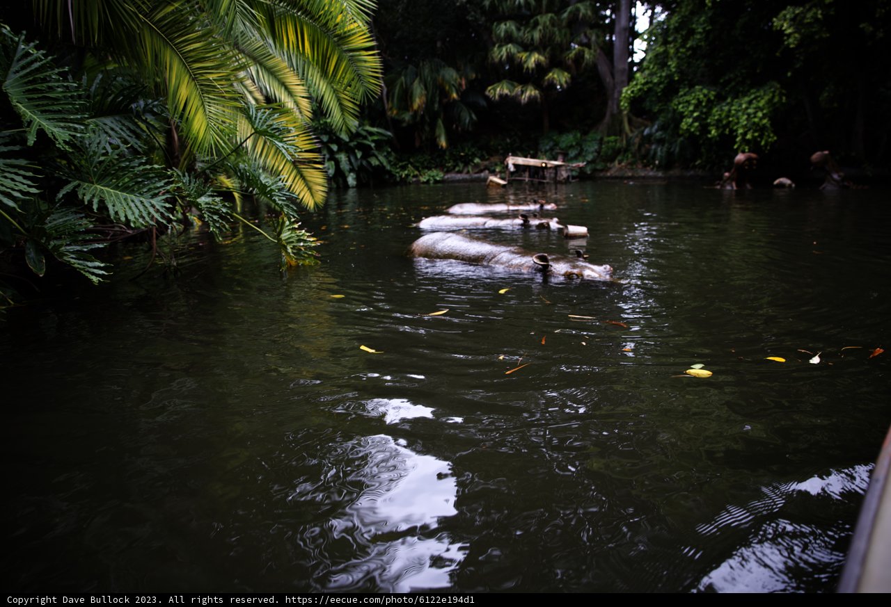 Enchanting Bridge Over Tranquil Waters
