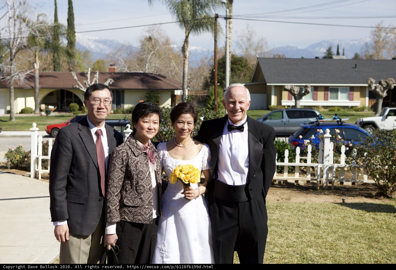 Wedding Party Poses in Front of Vintage Cars