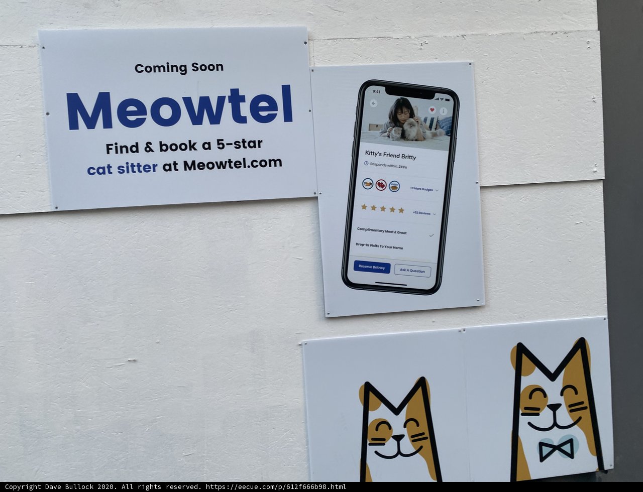 Introducing Meowtel - The App That Makes Cats Purrfectly Happy