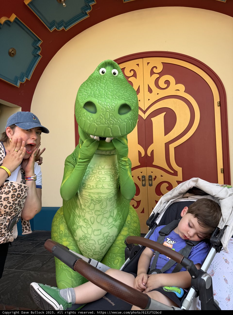 Dino Delights