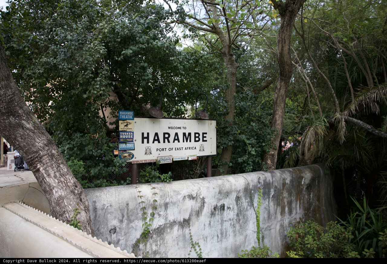 The Iconic Harambe Sign - Disney's Animal Kingdom
