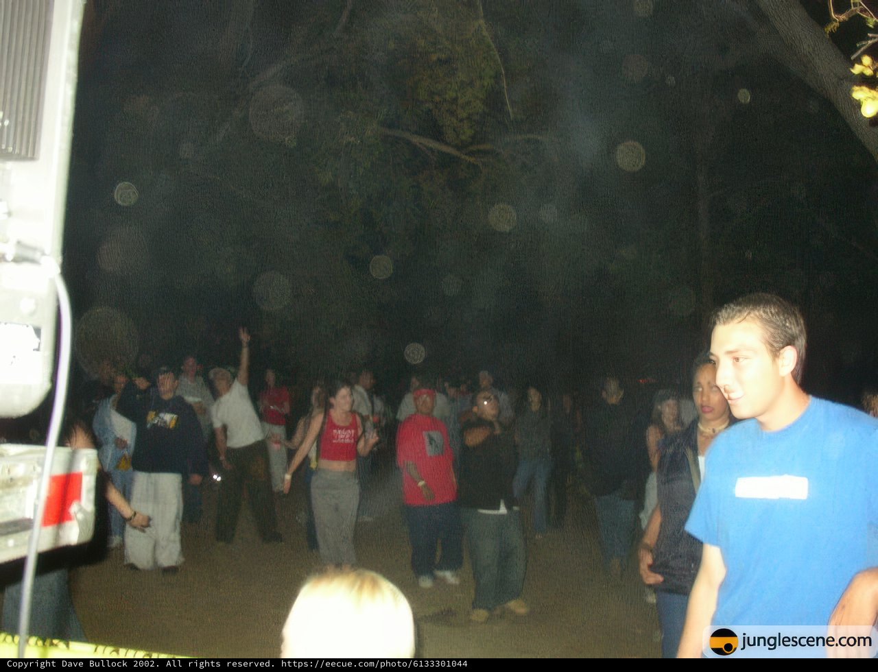 Nighttime Gathering around the Fire