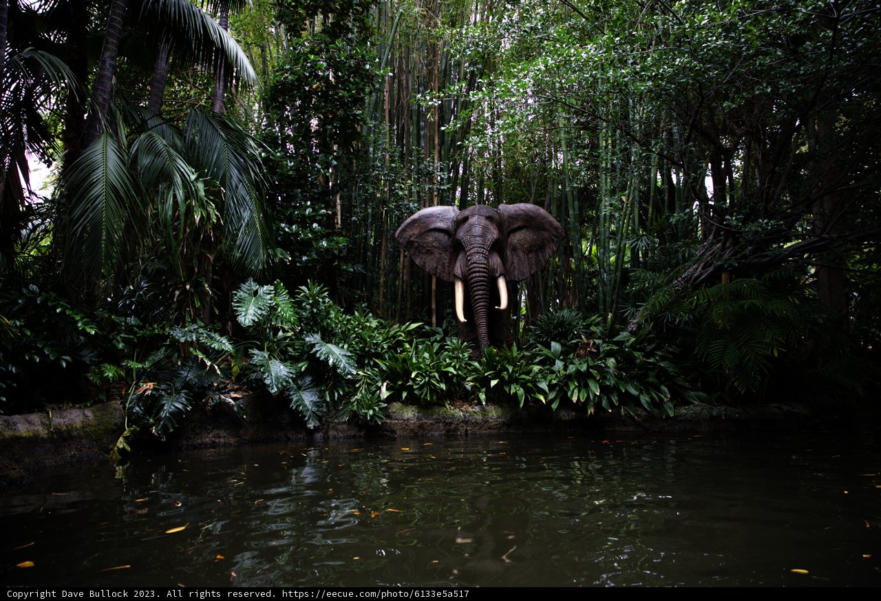 Majestic Elephant Statue in the Wild