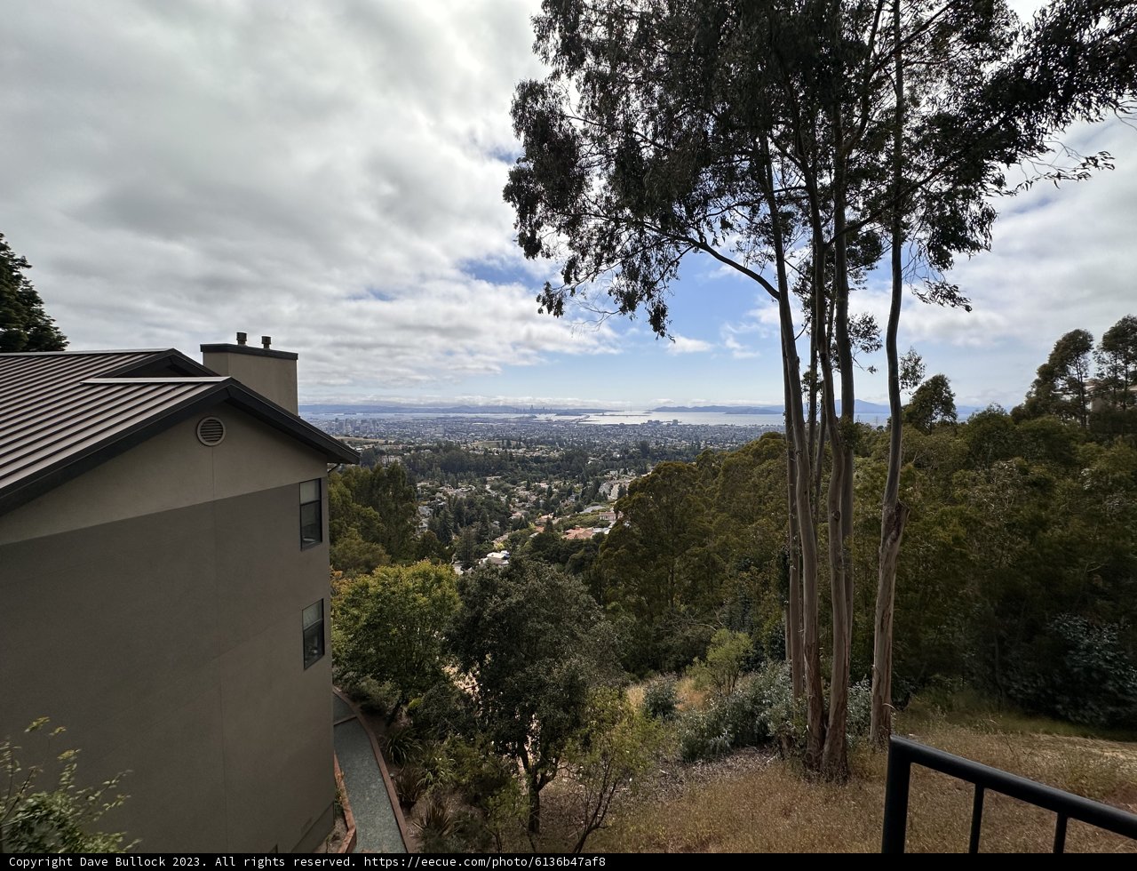 Hillside View: A Glimpse of Oakland's Bay
