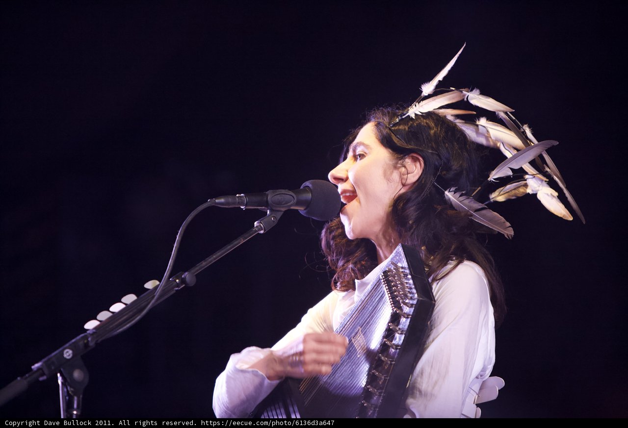 Feathered Performer